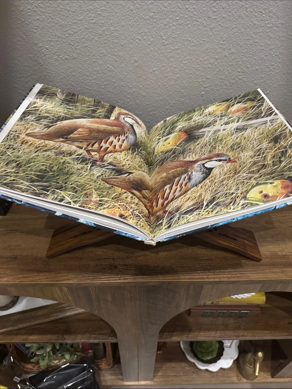 Vintage style wooden book display stand